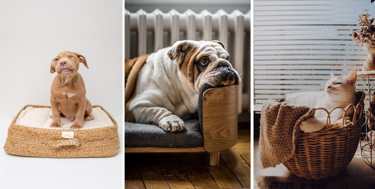 DIY : 20 idées de paniers pour chiens et chats — Autour des animaux